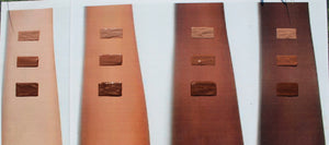 "Bountiful Bronze" Pigmented Gloss